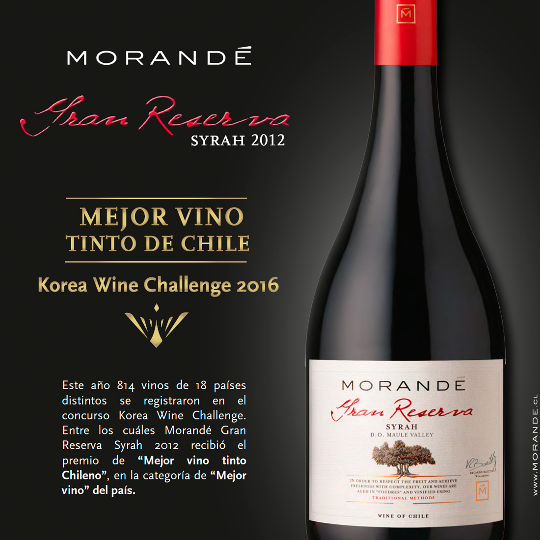 ¡EL MEJOR VINO TINTO DE CHILE!