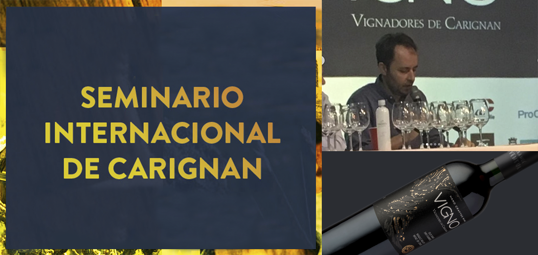 Morandé presente en Seminario Internacional de Carignan Chile