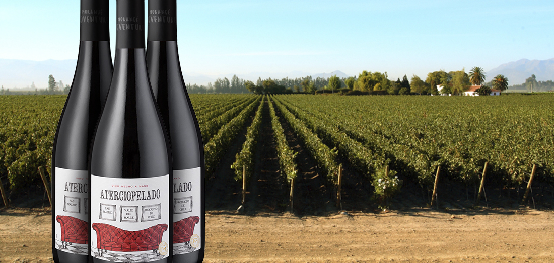 Día Nacional del Vino UVA PAÍS, EL ORIGEN DEL ÉXITO