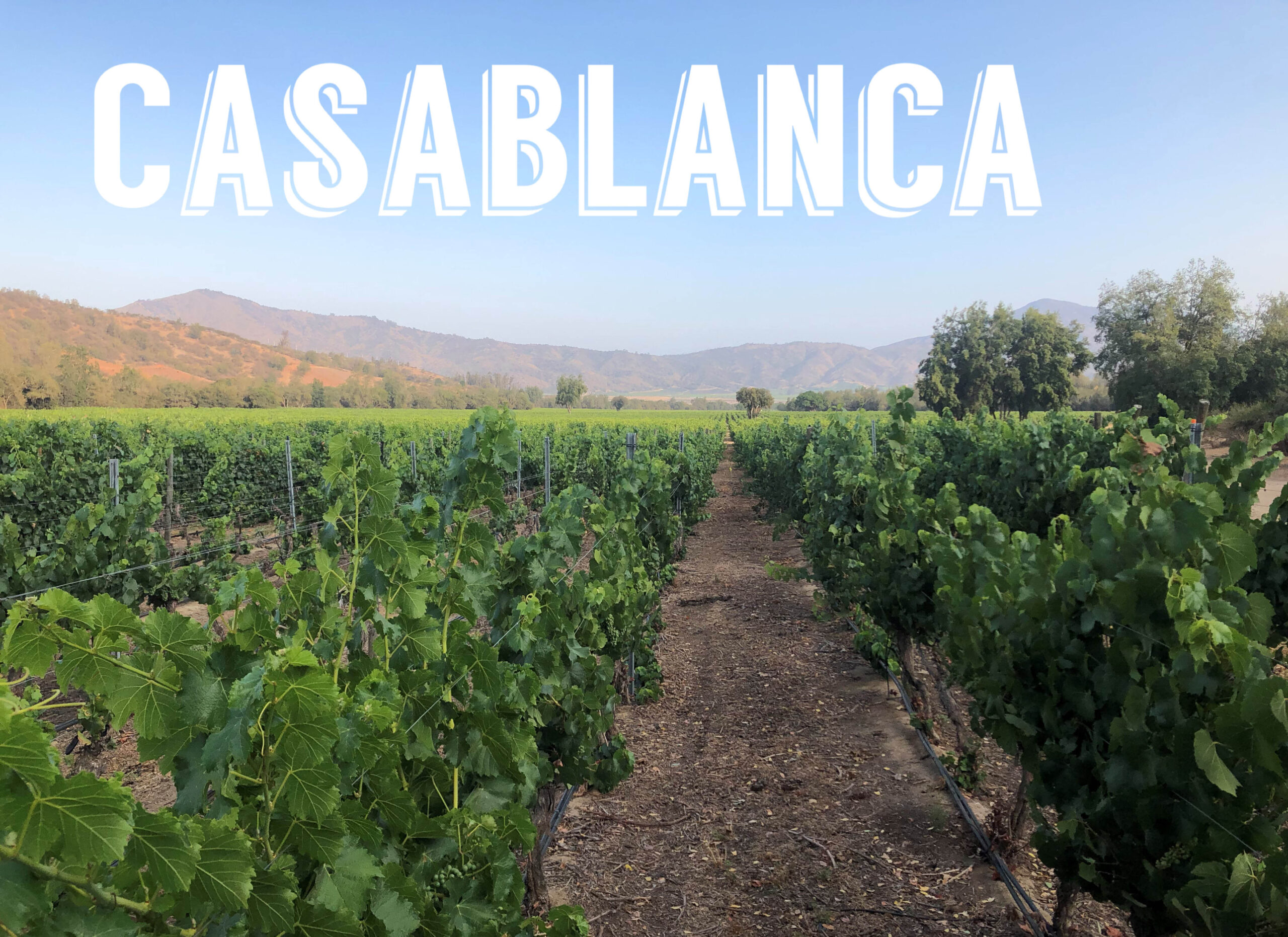 CONCEITOS DA VINHA, VISÃO ORIGINAL