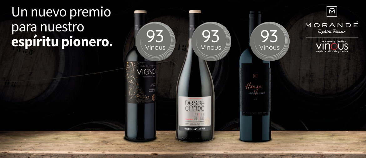 Viña Morandé obtuvo excelentes puntajes en el último reporte sobre vinos de Chile publicado por Vinous, la reconocida plataforma web