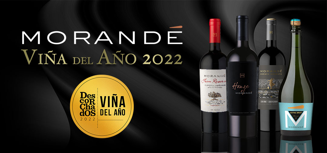 Un año lleno de perseverancia y reconocimiento