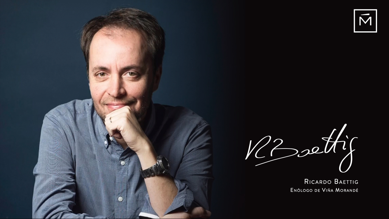Ricardo Baettig, la mano experta de Viña Morandé