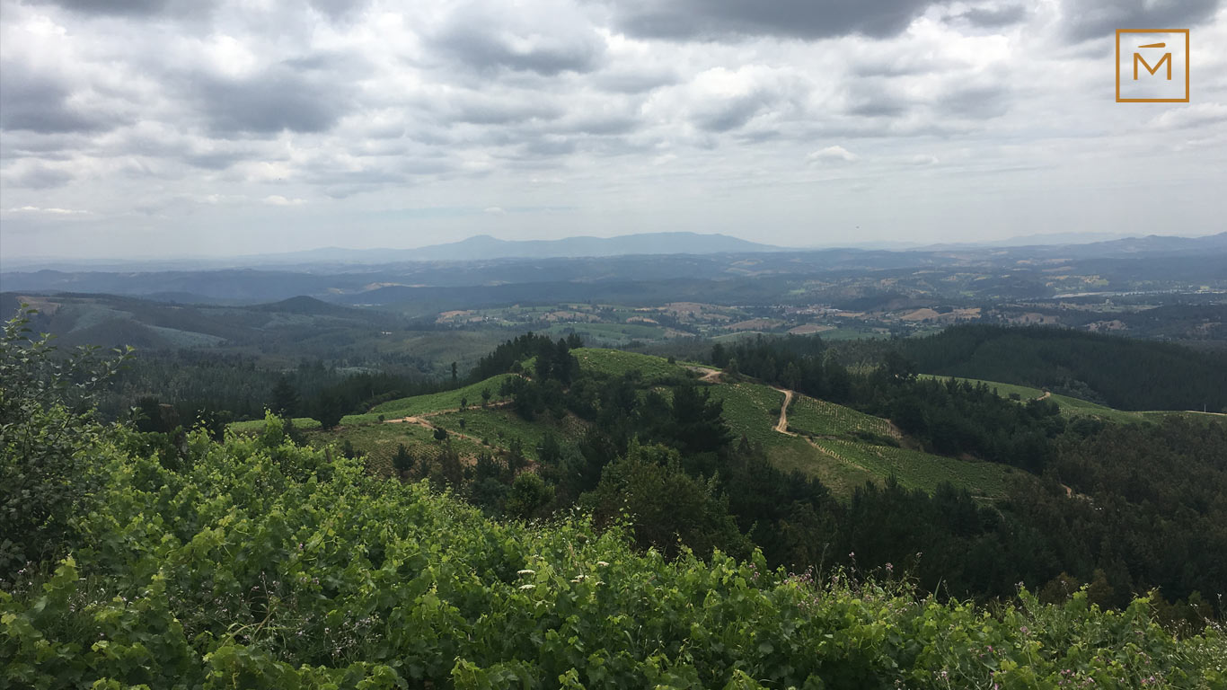ITATA VALLEY, THE SOUTHERN CRADLE OF CHILEAN WINE