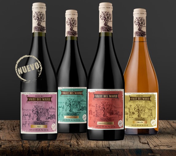Terroir wines ¡Se suma un cuarto vino al portafolio!