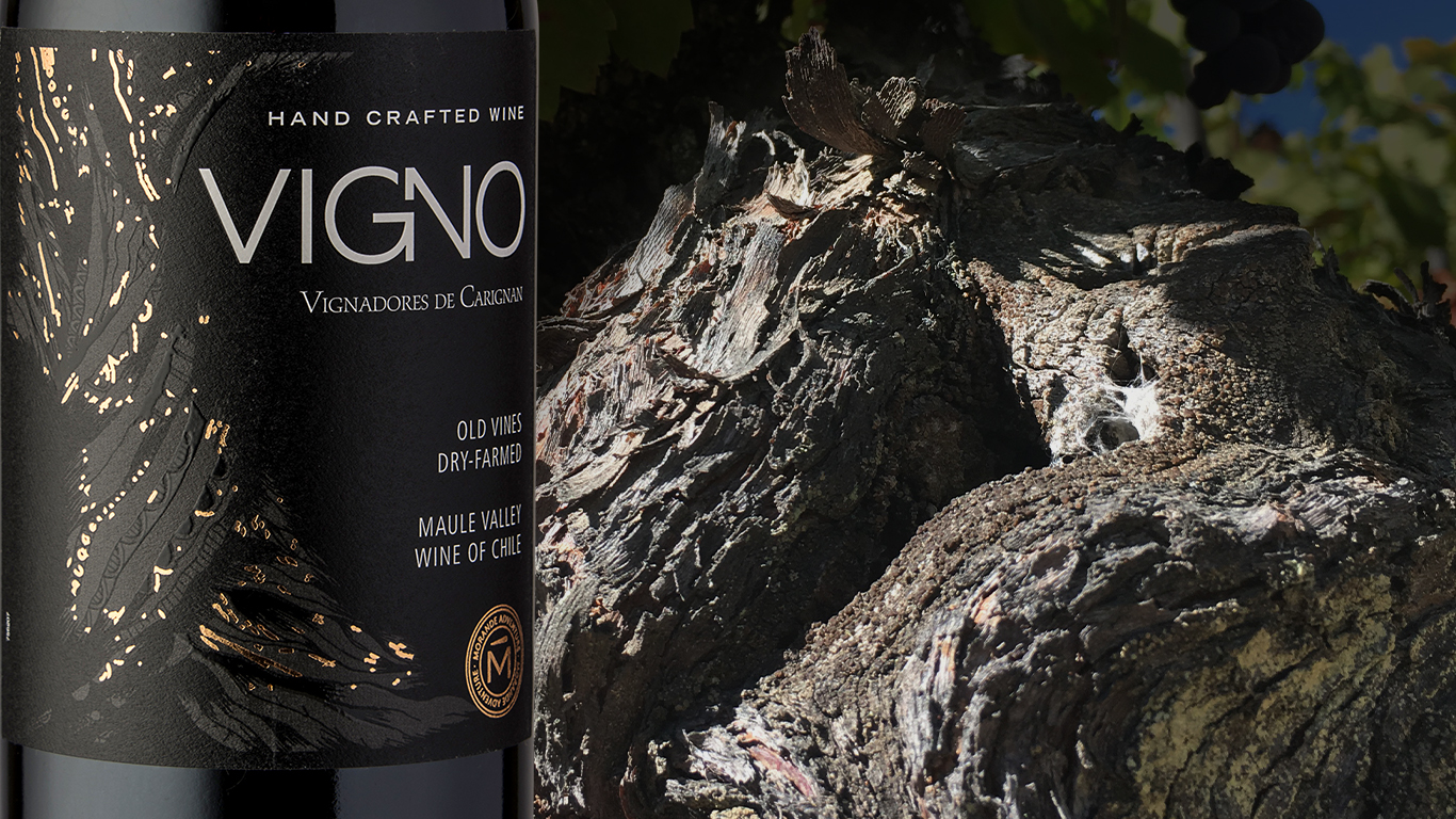 Carignan, el renacer del Maule