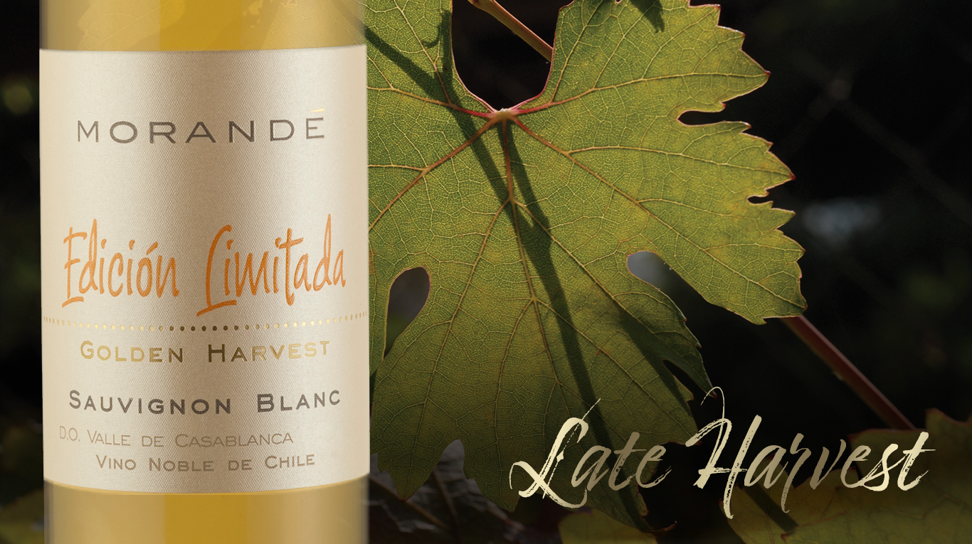 Golden Harvest and its coveted nobility