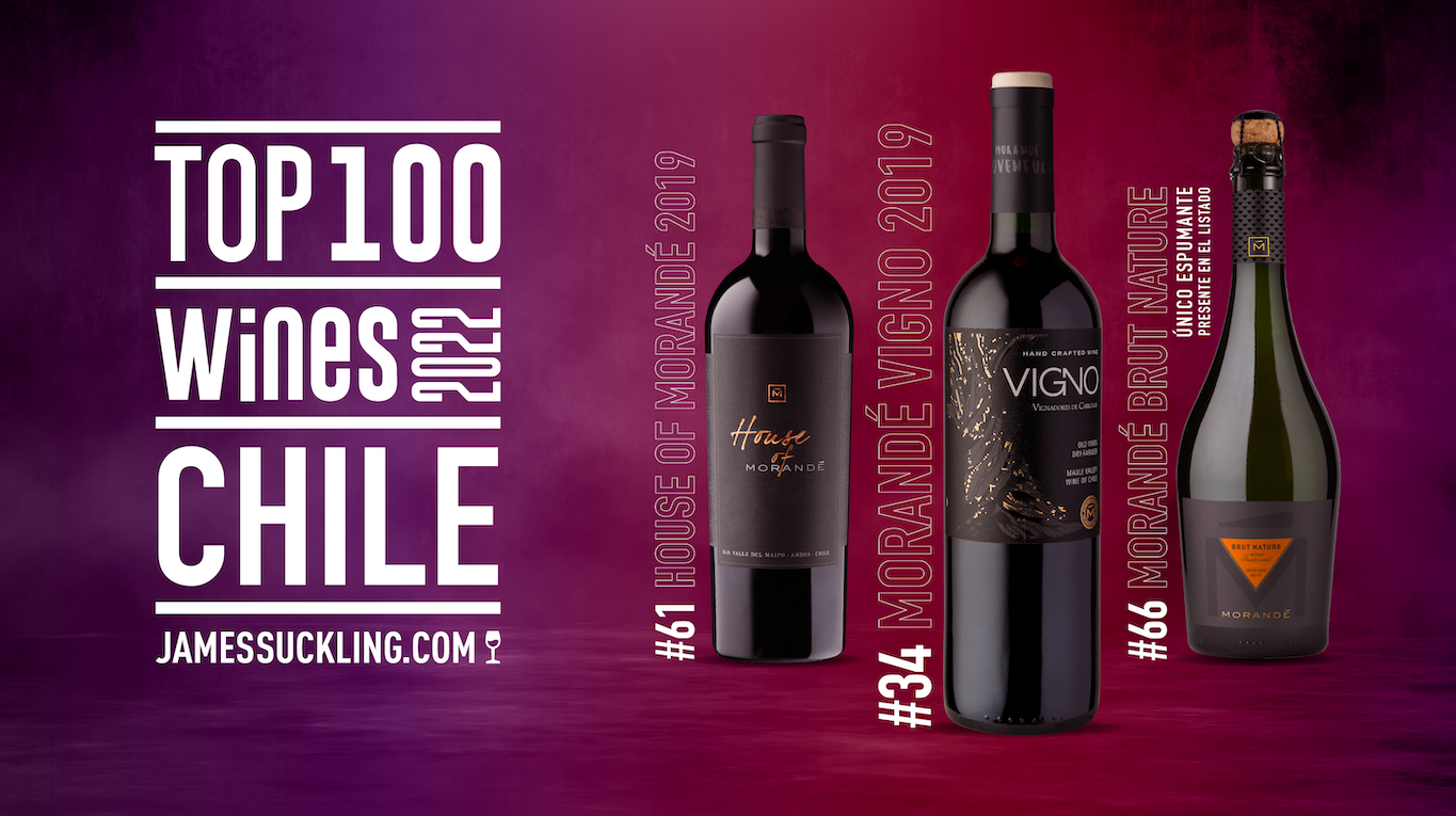 3 VINOS DE VIÑA MORANDÉ ENTRE LOS 100 MEJORES VINOS DE CHILE 2022