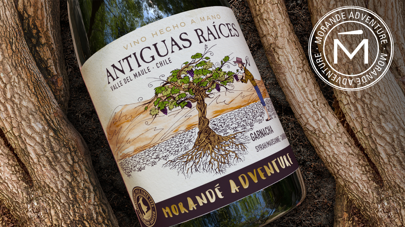 ANTIGUAS RAÍCES, UM CRIATIVO E SURPREENDENTE ASSEMBLAGE