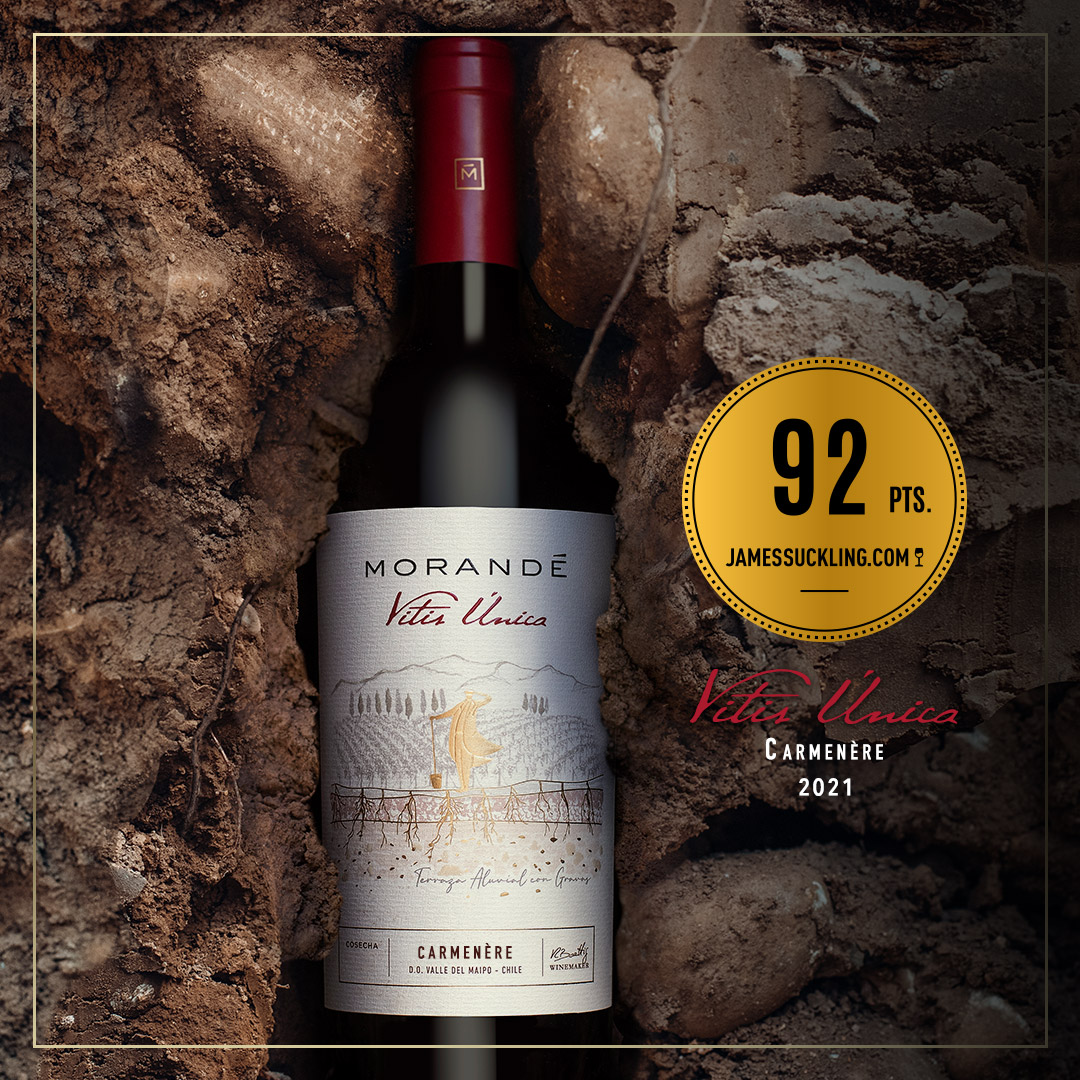 Vitis Única: vinos con sentido de terroir