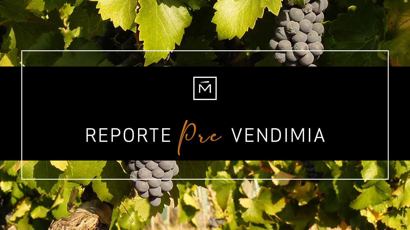 Reporte prevendimia: una desafiante cosecha 2023