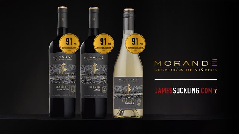 91 PUNTOS PARA MORANDÉ SELECCIÓN DE VIÑEDOS EN JAMESSUCKLING.COM
