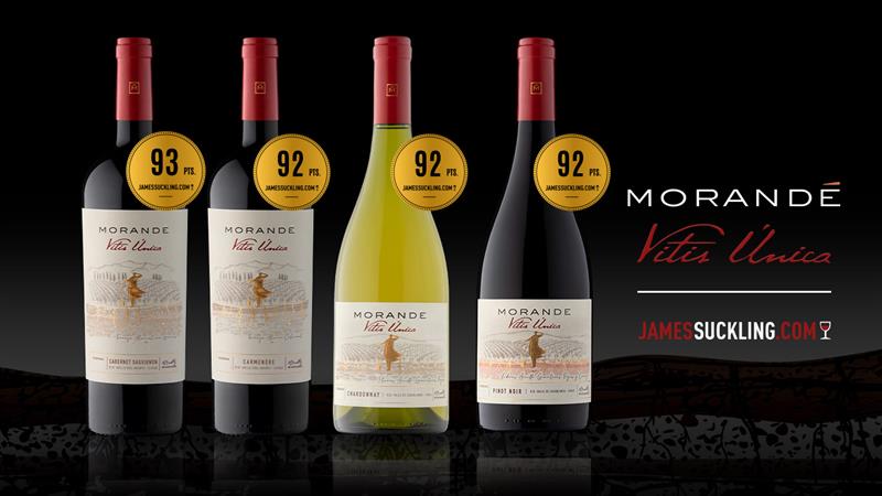PORTAFOLIO DE MORANDÉ TERROIR WINES ALCANZA EXCELENTES PUNTAJES EN JAMES SUCKLING.COM