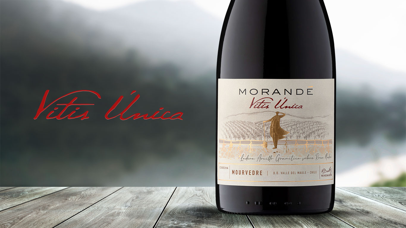 VITIS ÚNICA MOURVEDRE: UNA PROPUESTA INUSUAL DE GRAN POTENCIAL