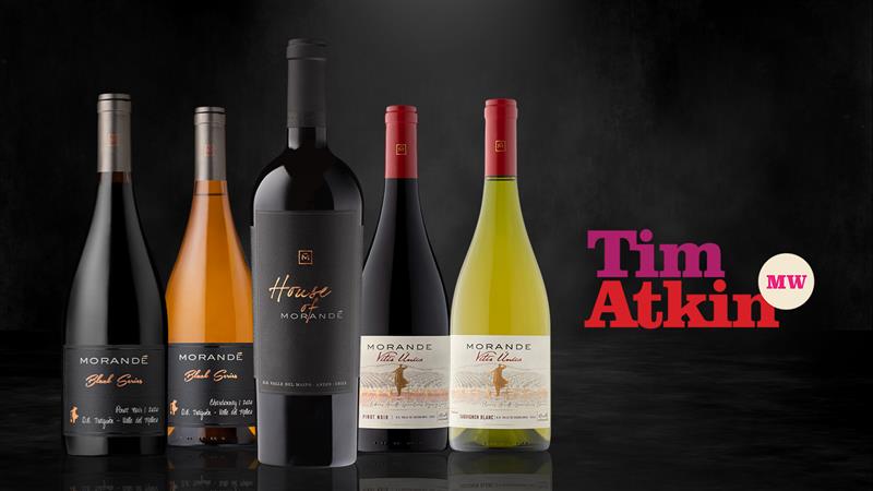 TIM ATKIN CONCEDIÓ DESTACADOS PUNTAJES A VIÑA MORANDÉ