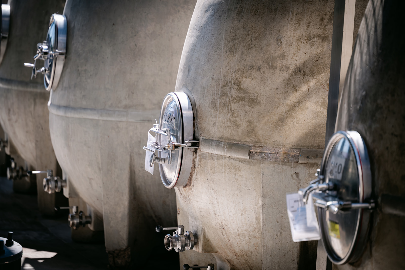 Un blanco con cuerpo de naranjo