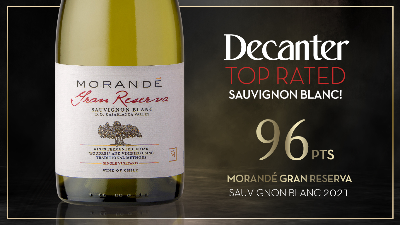 MORANDÉ GRAN RESERVA ES EL SAUVIGNON BLANC CHILENO MEJOR RANKEADO POR REVISTA DECANTER
