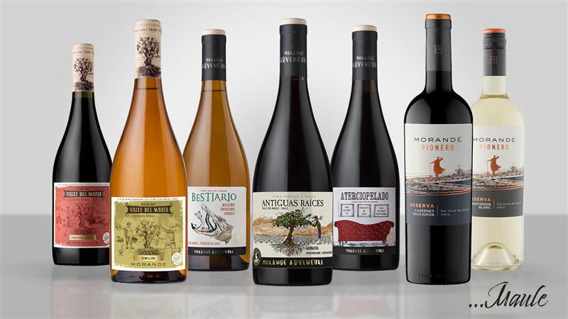 Vinos Morandé del valle del Maule