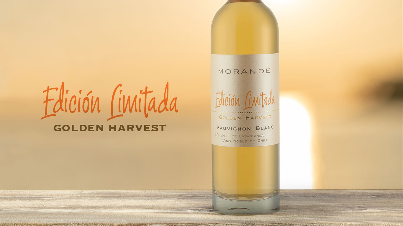 MORANDÉ GOLDEN HARVEST, LA CONJUNCIÓN PERFECTA