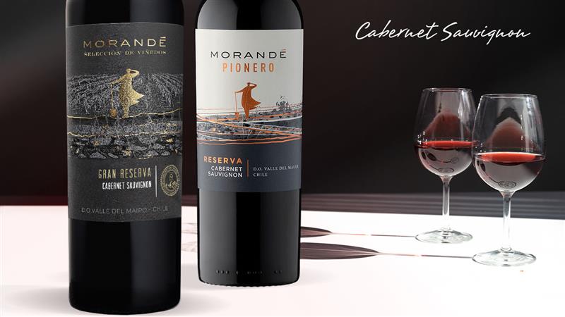 Cabernet Sauvignon: el gran exponente del potencial de los vinos chilenos