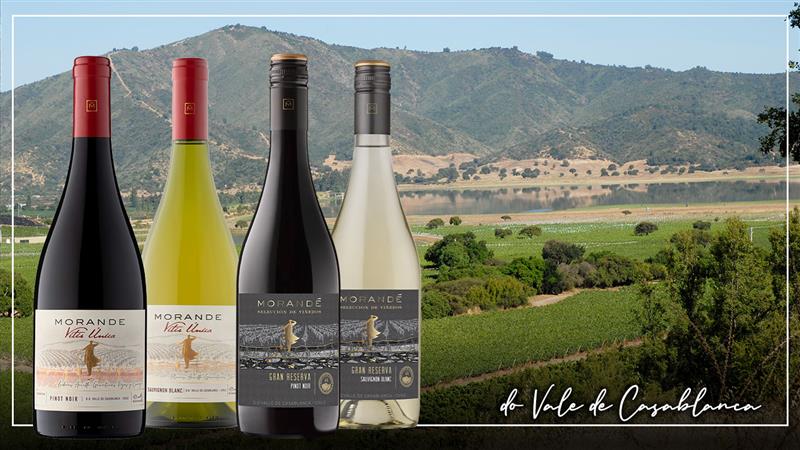 Viña Morandé y el valle de Casablanca