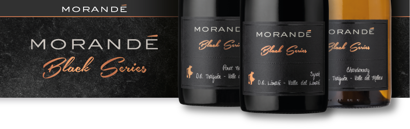 Black Series Syrah, el nuevo vino de Morandé