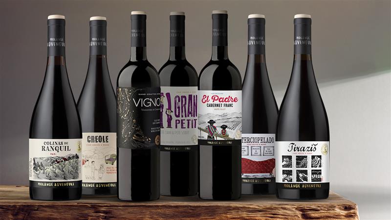 Los vinos tintos de Morandé Adventure