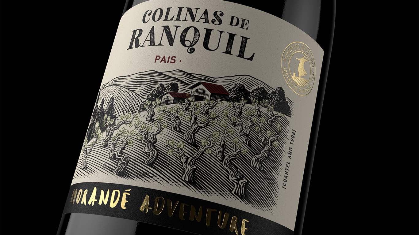 Itata, la cuna de nuestro Colinas de Ránquil