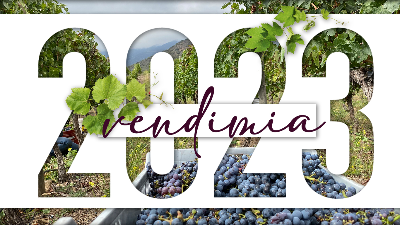 EL DESAFÍO DE LAS VENDIMIAS EN CHILE