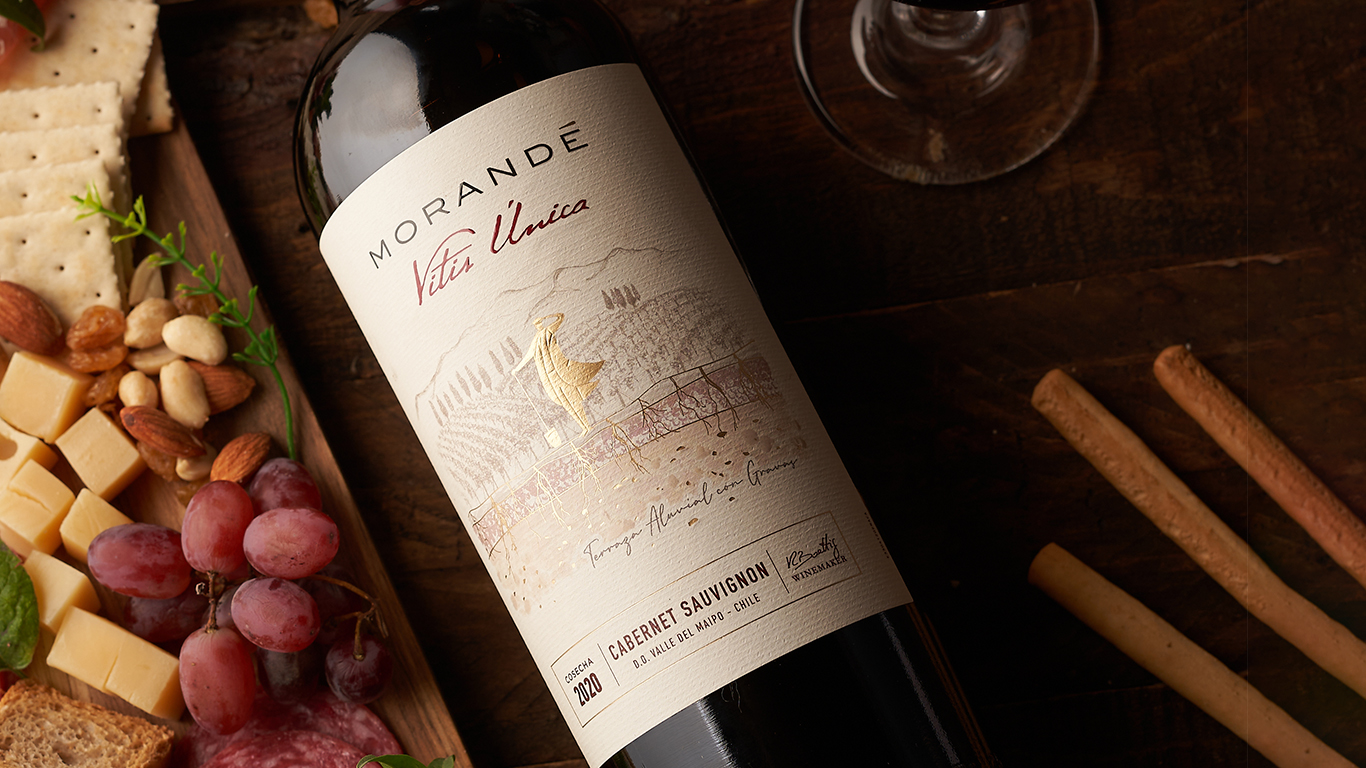 Vitis Única: vinos que honran a las parras y al terroir