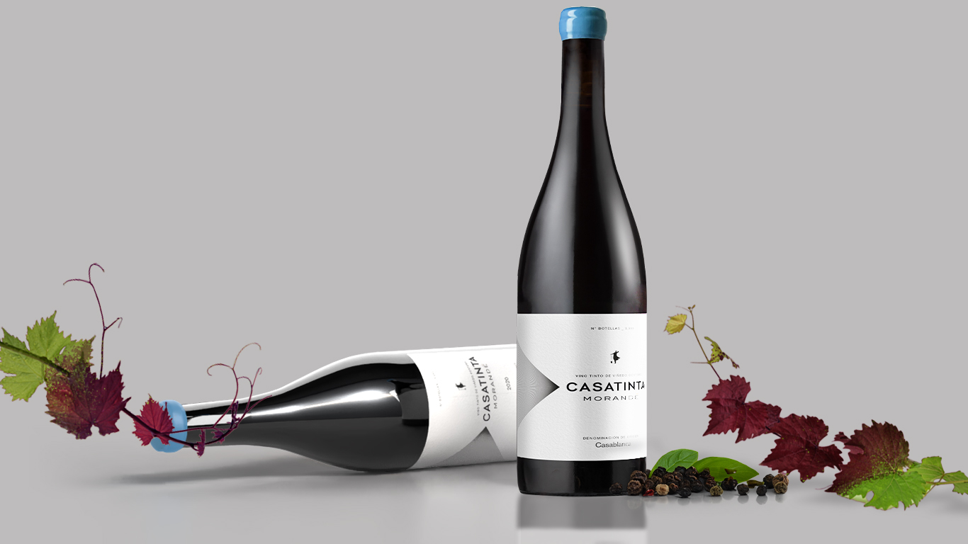 CASATINTA, EL EXPONENTE QUE LLEVA A CASABLANCA AL SIGUIENTE NIVEL