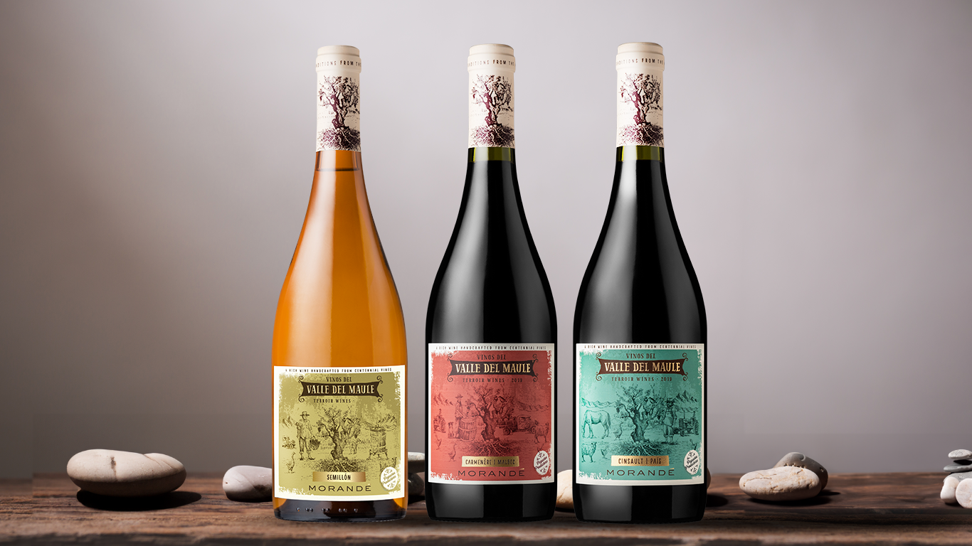 TERROIR WINES: UNIENDO EL VIEJOY EL NUEVO CHILE VITIVINÍCOLA