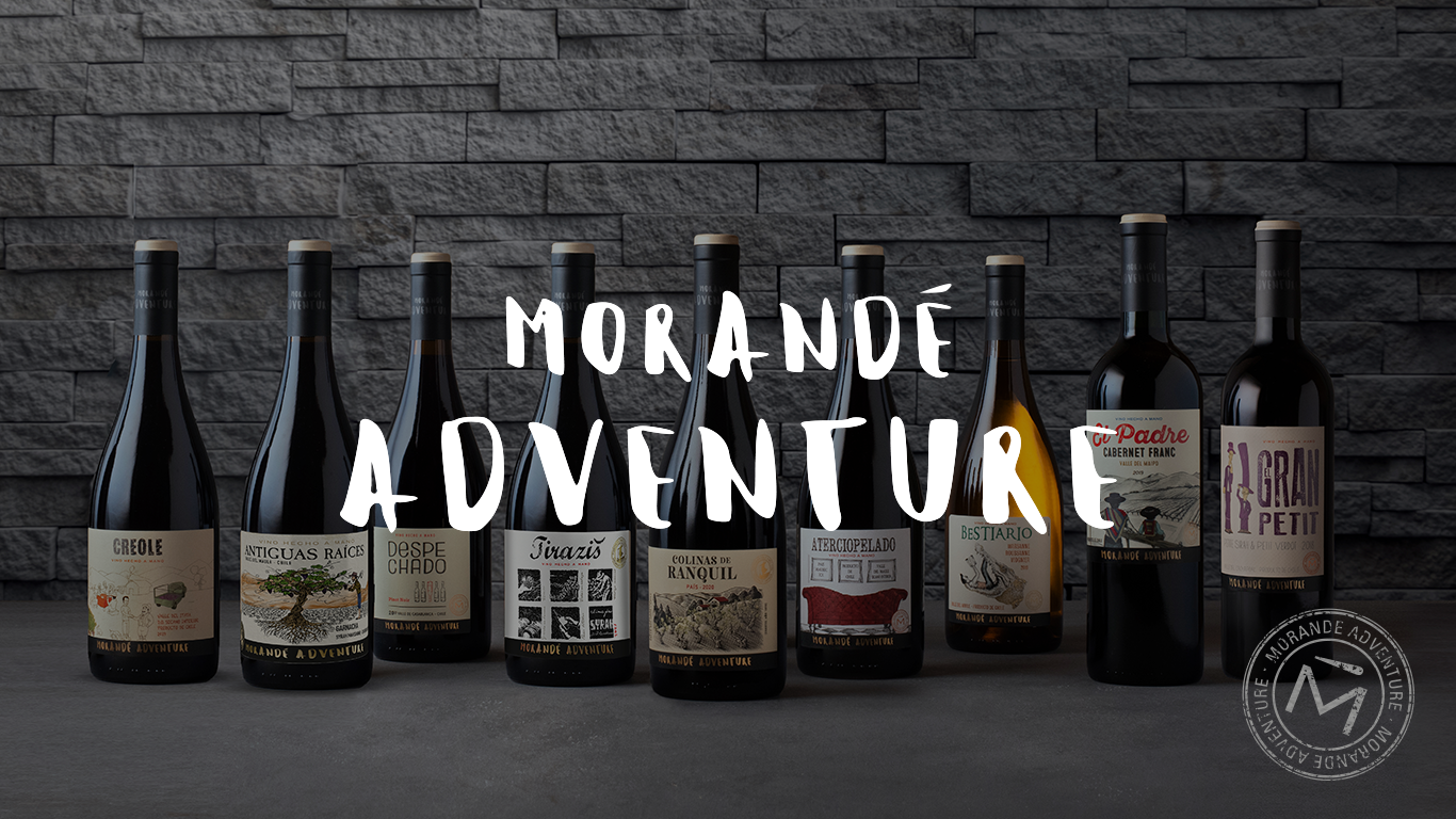 MORANDÉ ADVENTURE: UNA INVITACIÓN A EXPLORAR NUEVAS RAÍCES DEL VINO CHILENO