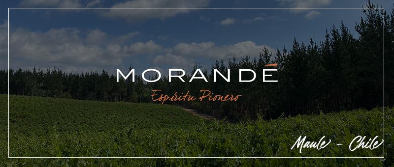 Valle del Maule, la cuna del nuevo, antiguo Chile