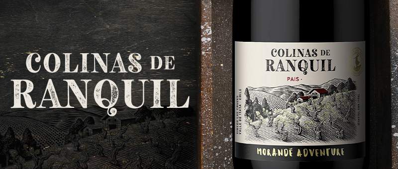 COLINAS DE RÁNQUIL: A WINE THAT MAKES US RECOGNIZE OURSELVES AS CHILEAN