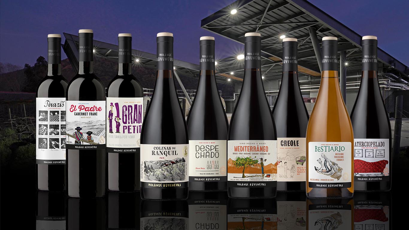 Morandé Adventure, a portfolio of free and played wines