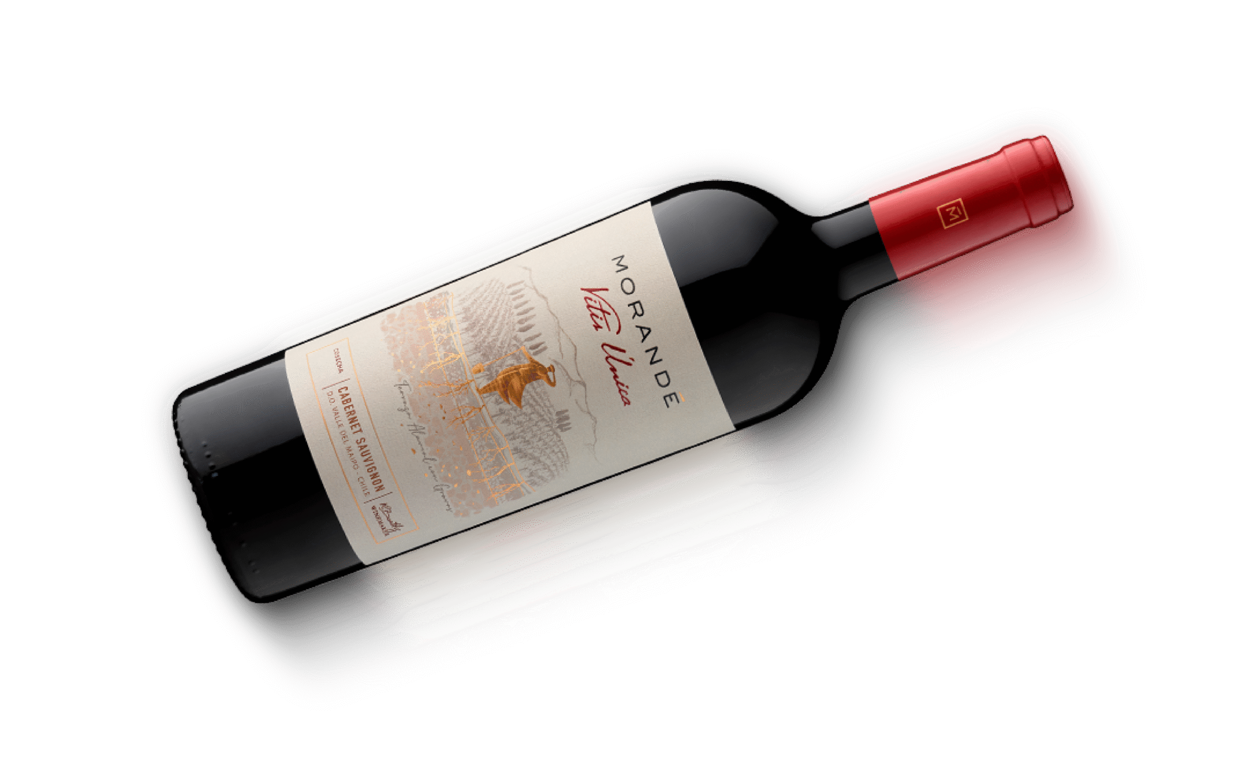 Botella House of Morandé