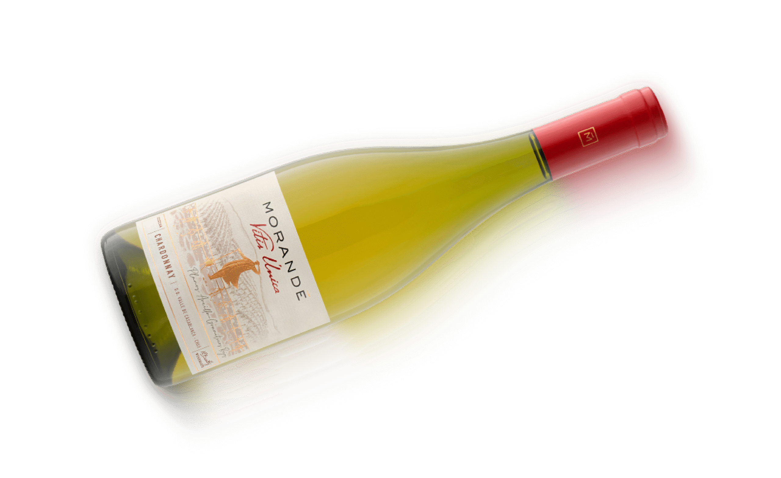 Botella House of Morandé