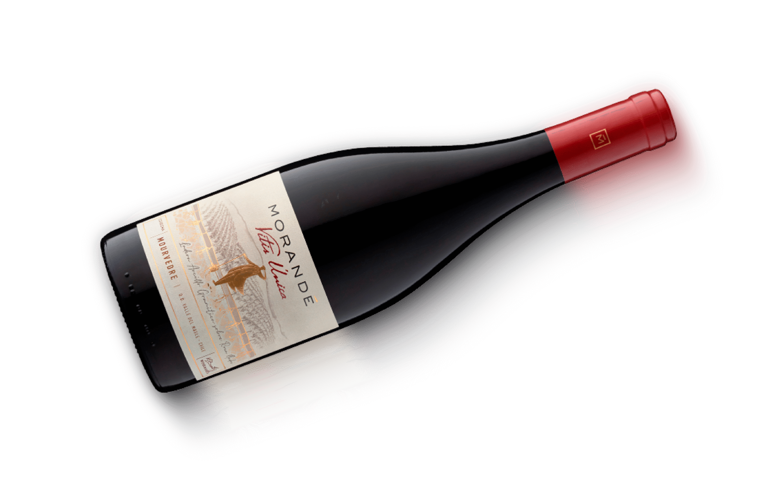 Botella House of Morandé