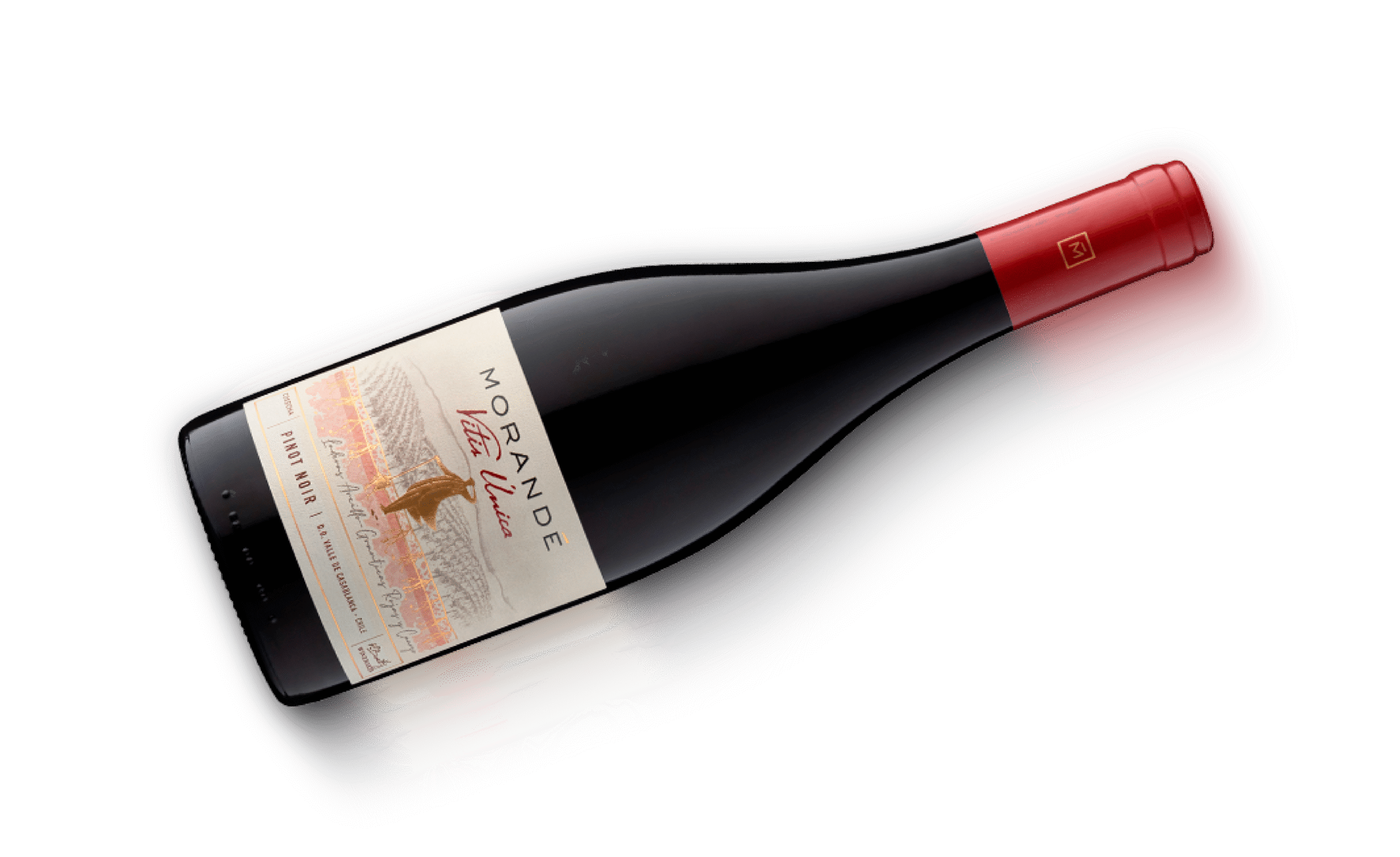 Botella House of Morandé