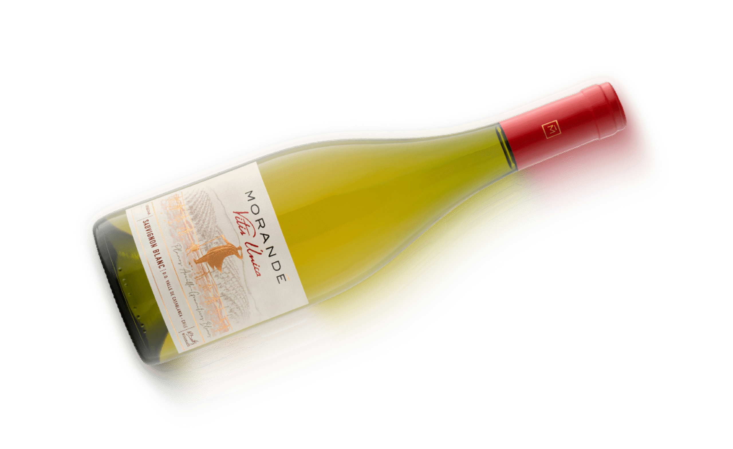 Botella House of Morandé