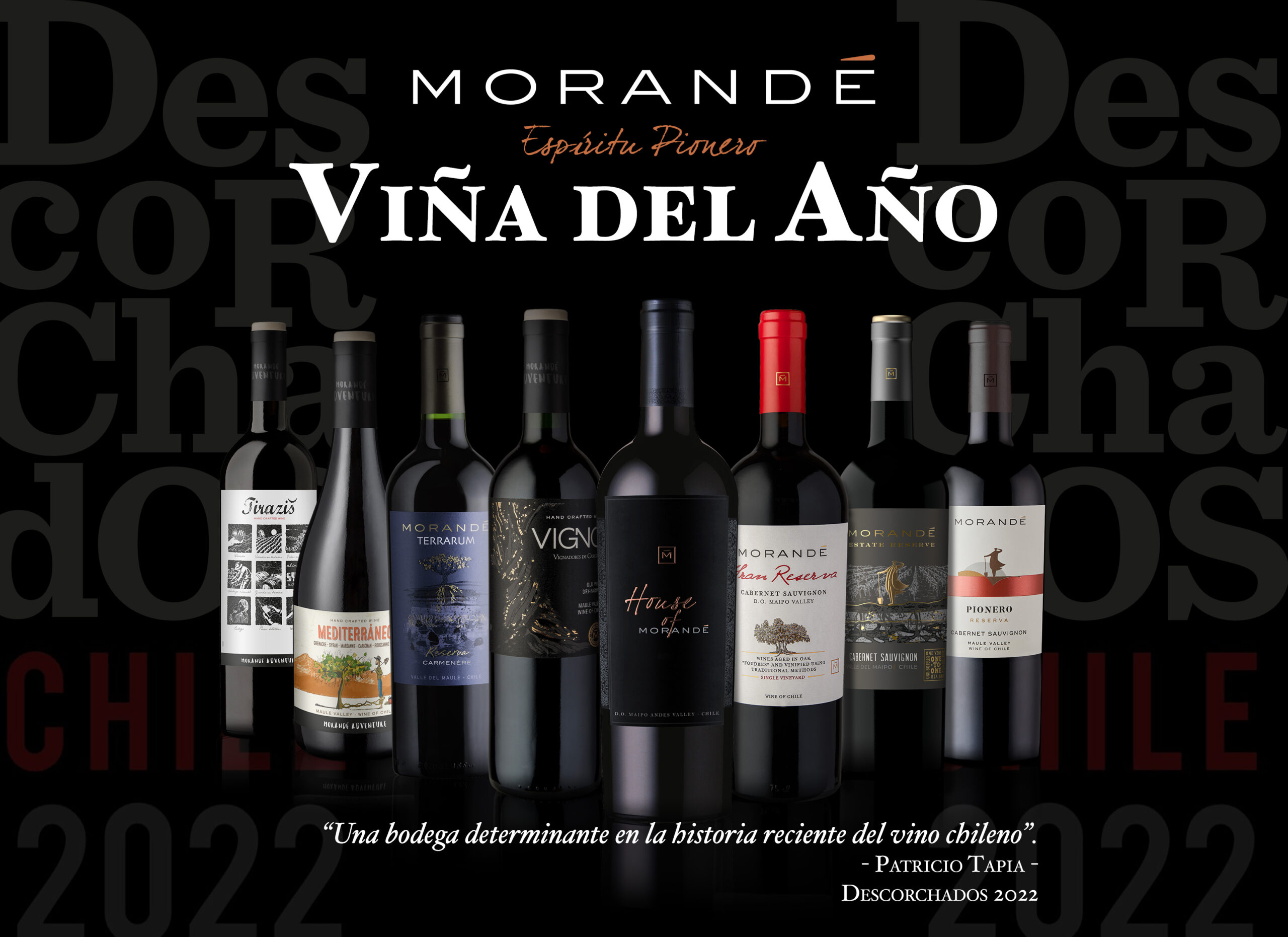 EXCELENTES PUNTAJES 2021 PARA LOS PRINCIPALES VINOS DE VIÑA MORANDÉ