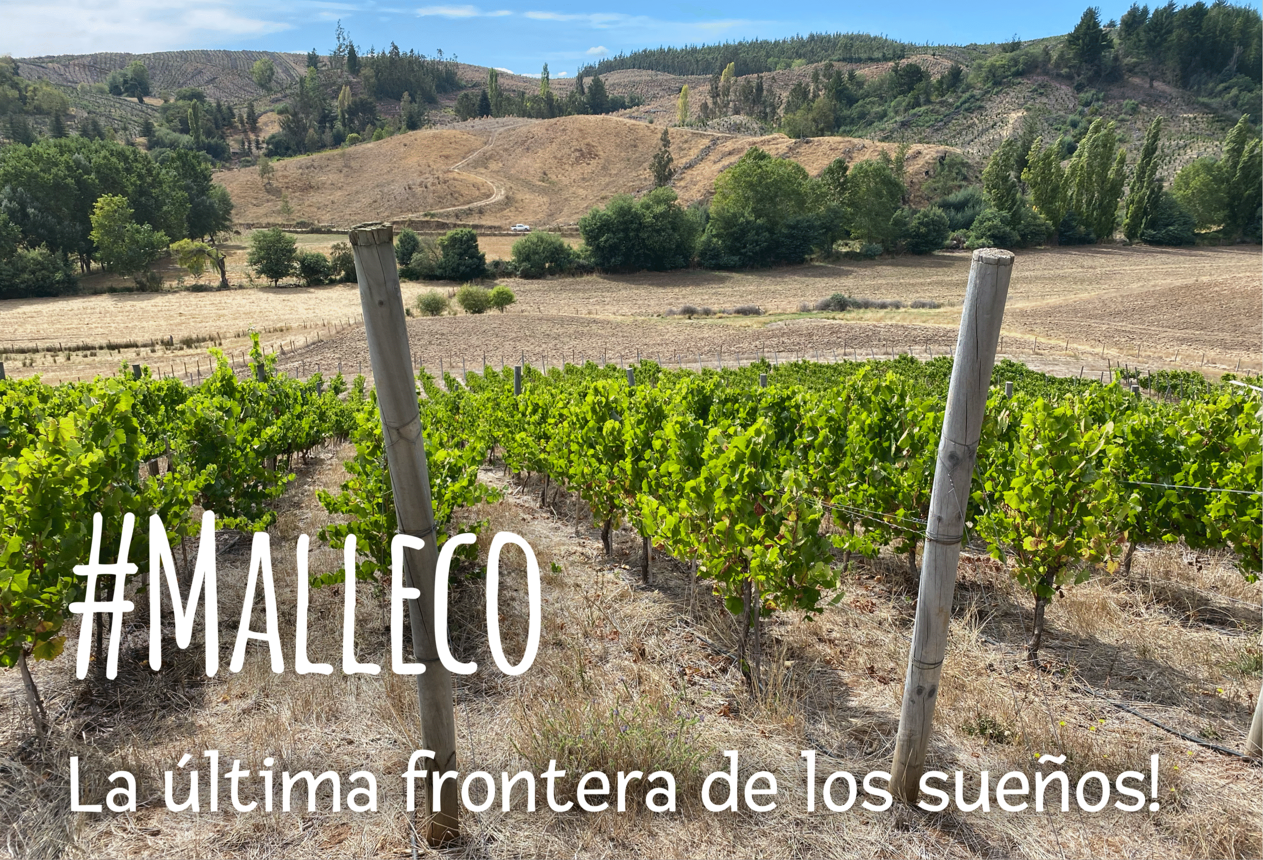 Malleco, The last frontier of dreams!