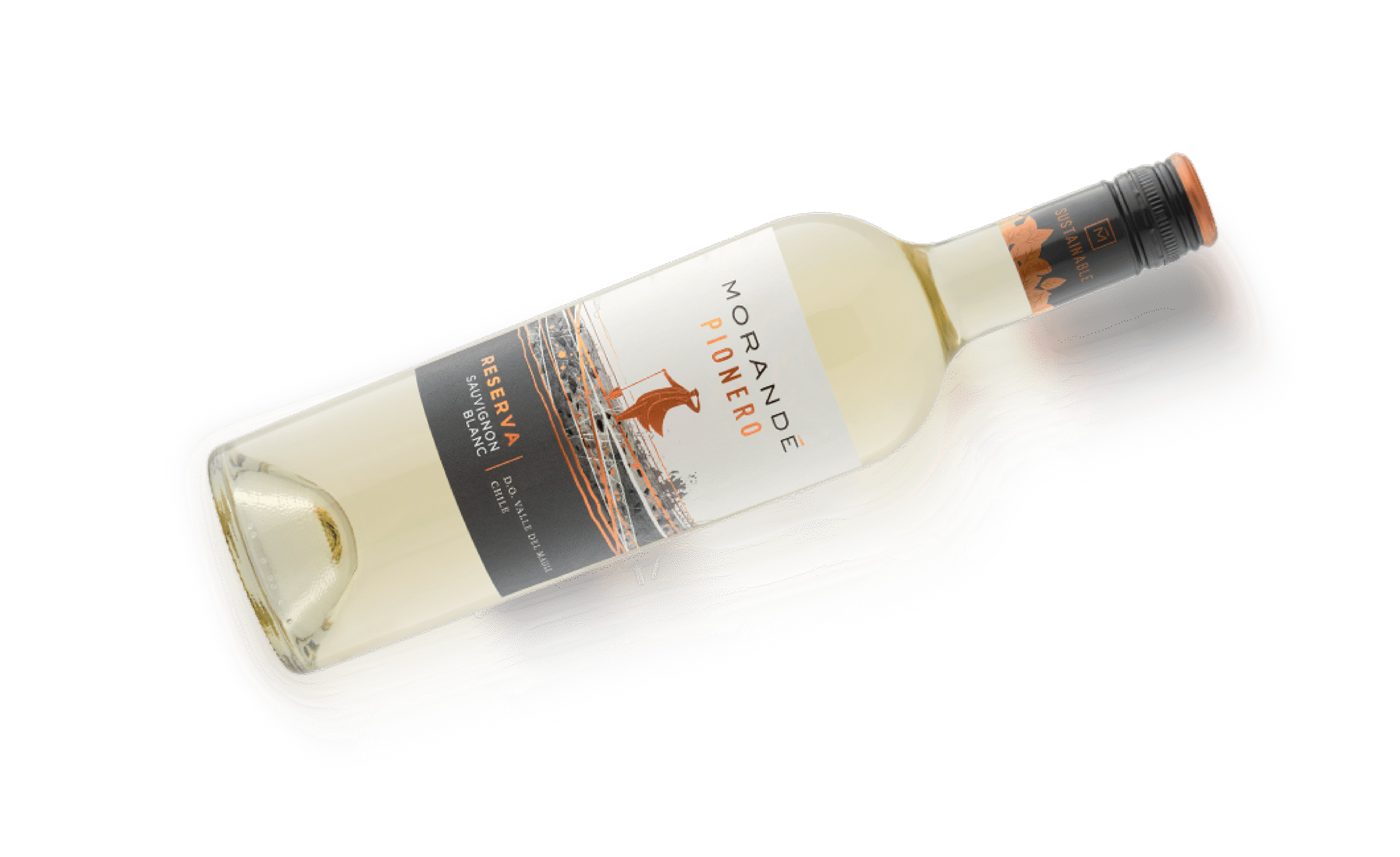 Pionero_MALBEC Botella House of Morandé