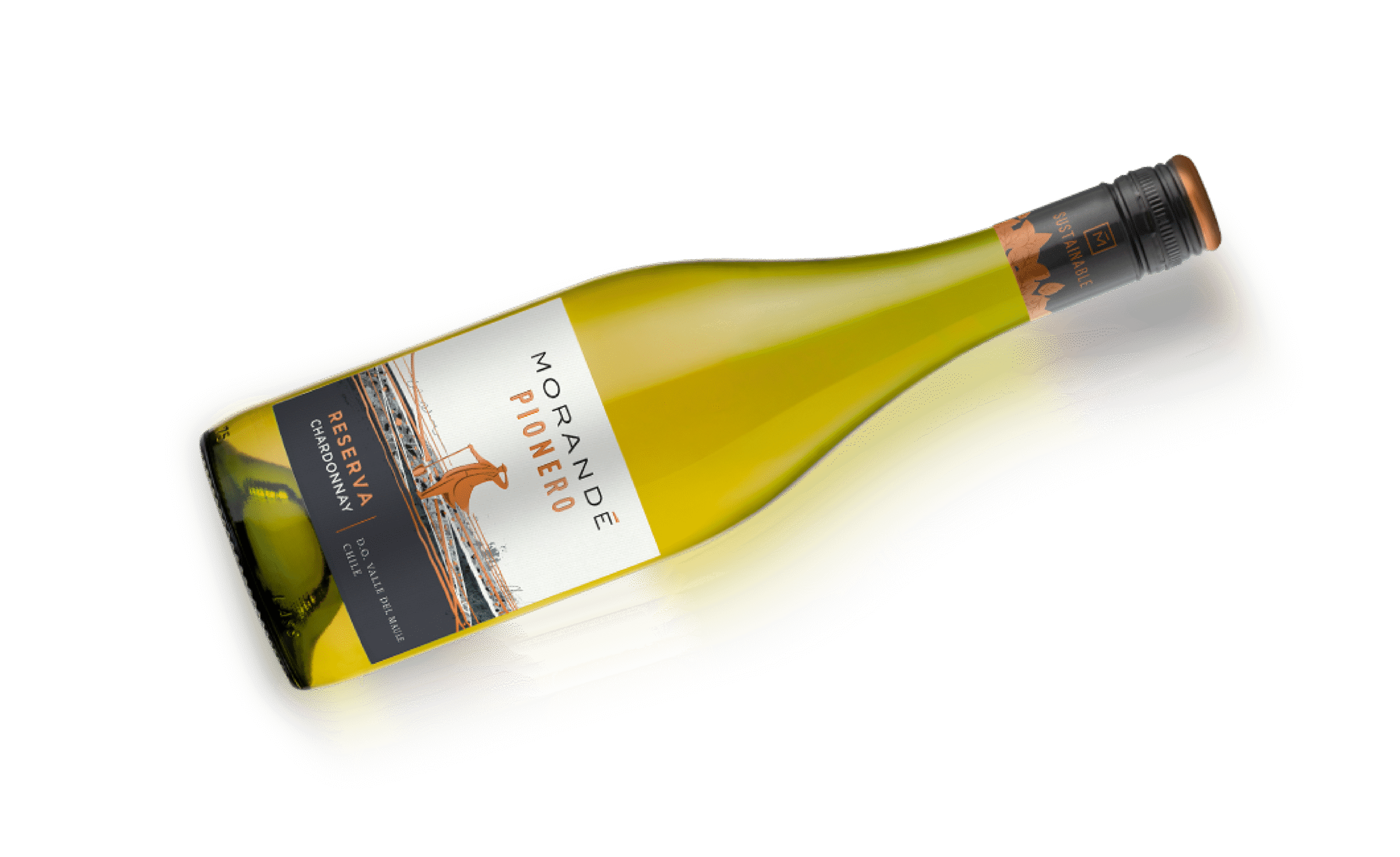 Pionero_MALBEC Botella House of Morandé