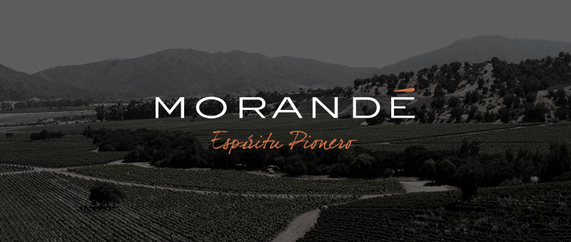 Viña Morandé: calidad, innovación y vanguardia
