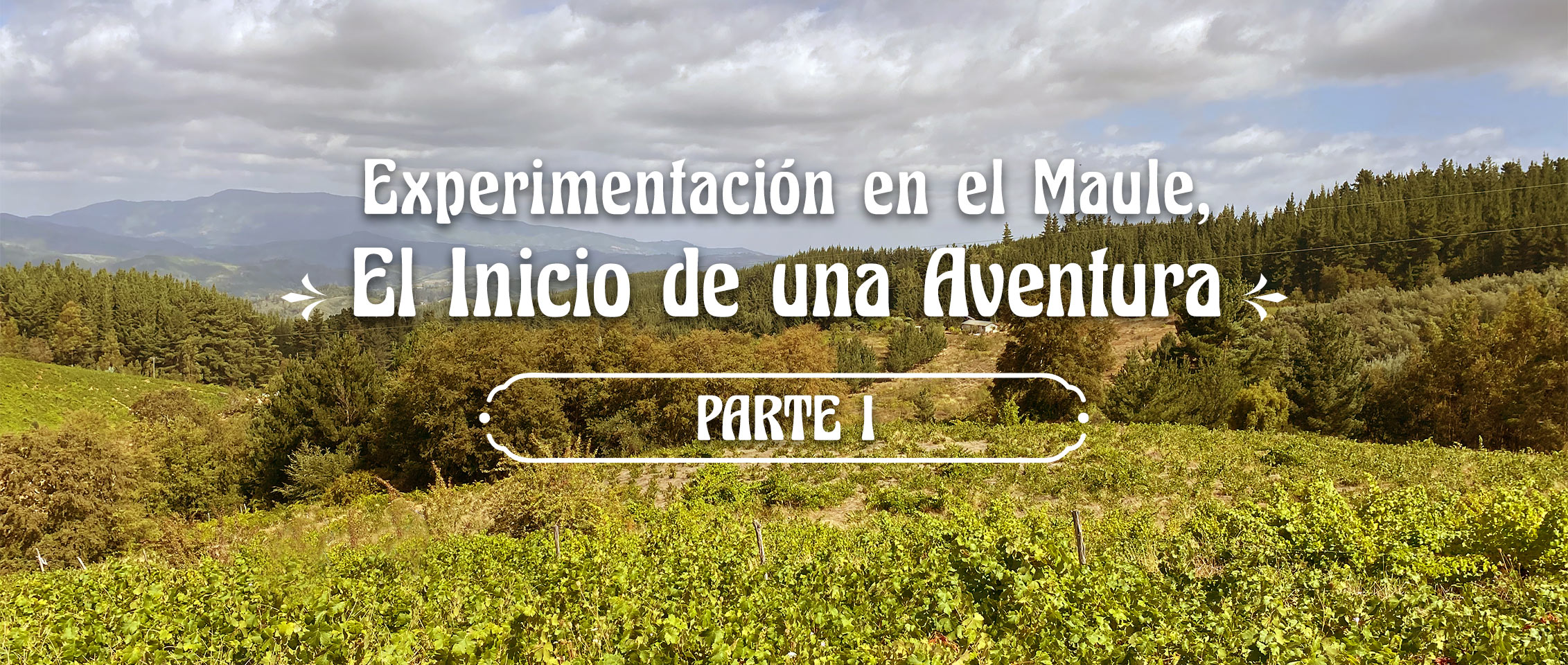 EXPLORING MAULE, ADVENTURES, DREAMS AND REALITY – PART II