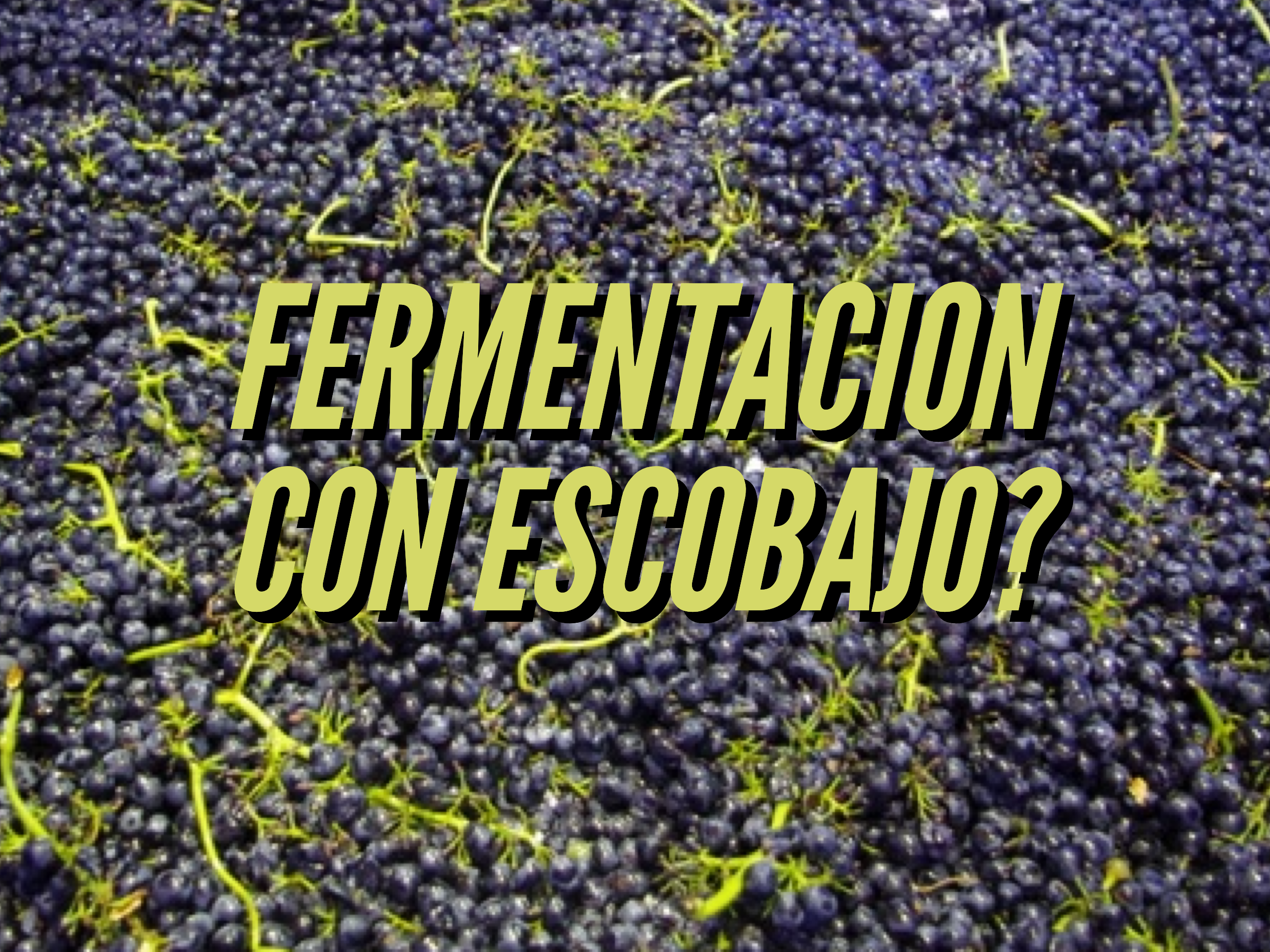 Escobajo en las fermentaciones o el eterno retorno