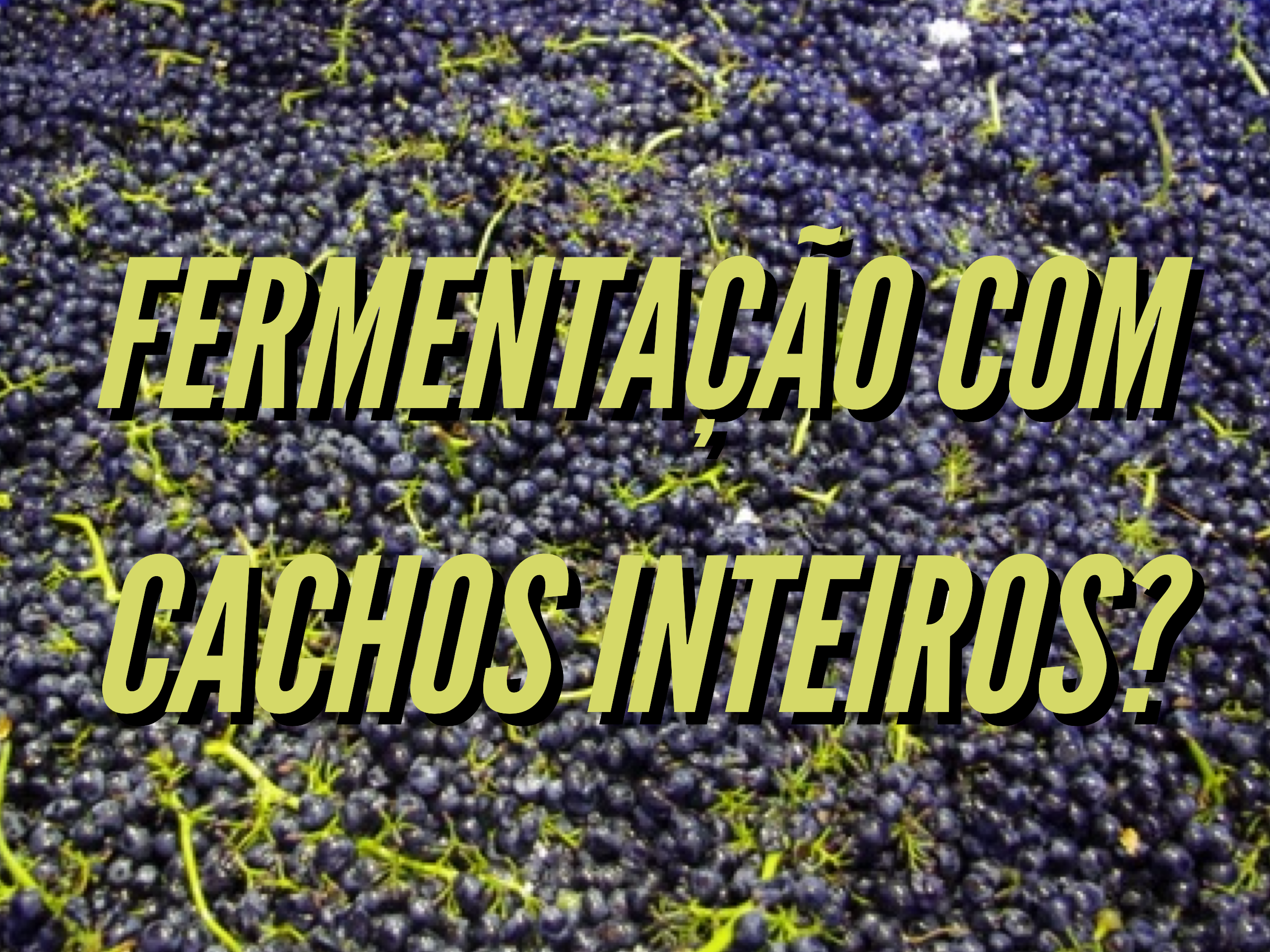 Cachos Inteiros nas fermentações e o eterno movimento cíclico dos vinhos