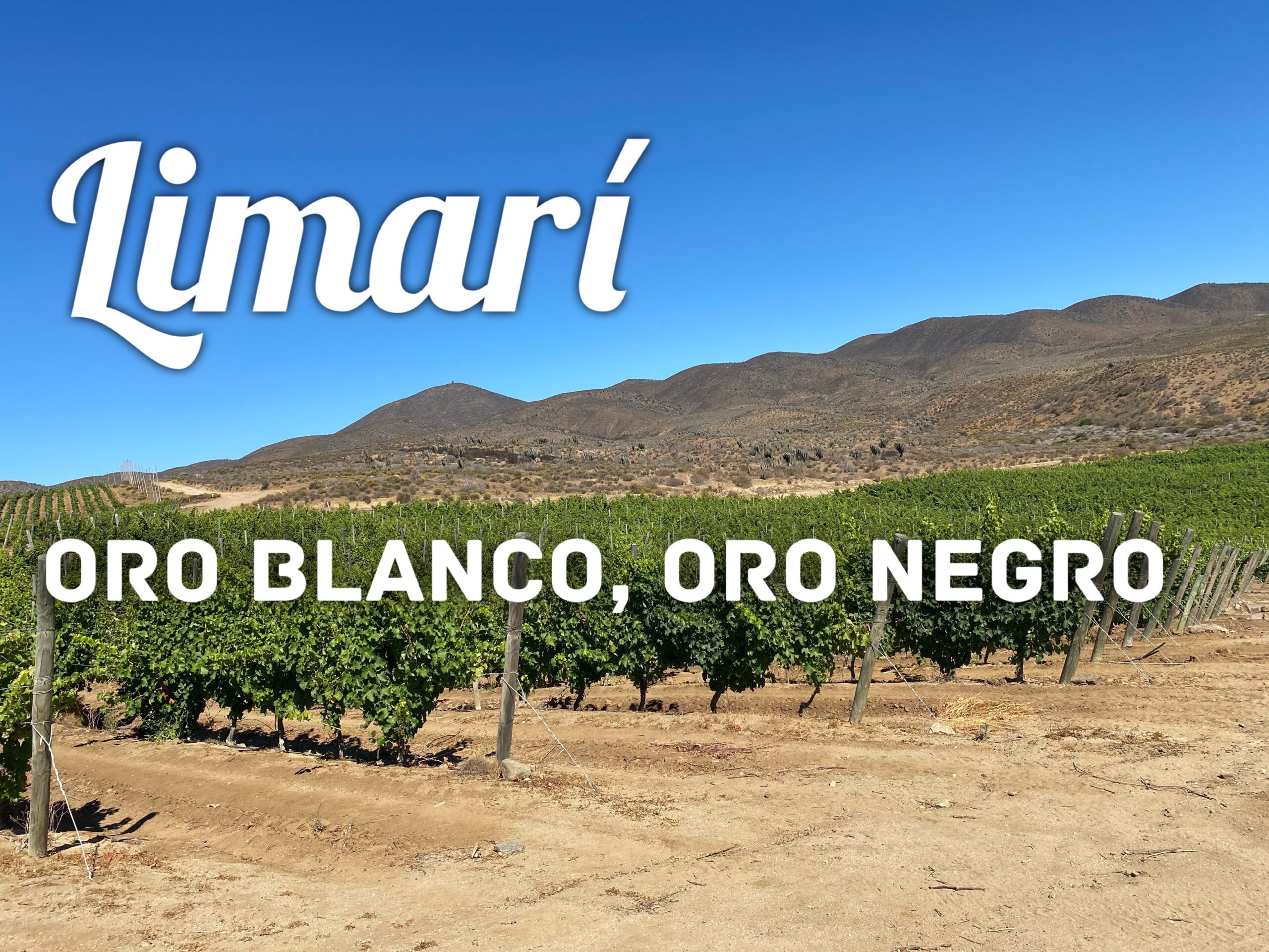 Limarí – Oro blanco, Oro negro.